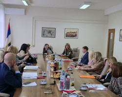 Заједничка седница Виших судова са подручја Апелационог суда у Новом Саду